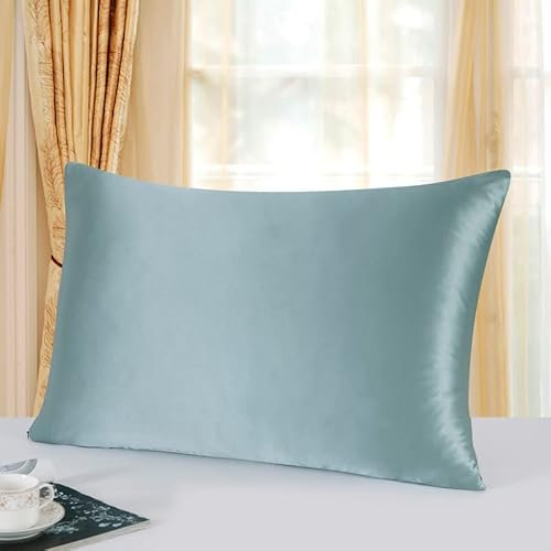 townssilk Beidseitig 100% 19mm Pure Maulbeerseide Kissenbezug für Haar und Haut Gesundheit, 1 Stück 40x60cm Größe Kissenbezug mit verstecktem Reißverschluss 600 Fadenzahl Aquagreen