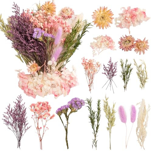 LAUMOE Trockenblume, Mini Trockenblumen Klein Getrocknete Blumen Trockenblumen Zum Basteln Set Trockenblume Bunt für DIY Hochzeitsdeko Wohnkultur