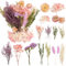 LAUMOE Trockenblume, Mini Trockenblumen Klein Getrocknete Blumen Trockenblumen Zum Basteln Set Trockenblume Bunt für DIY Hochzeitsdeko Wohnkultur