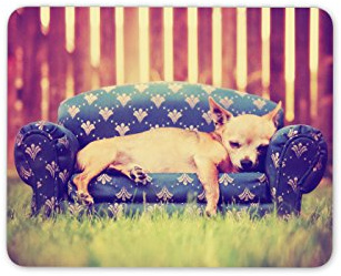 Destination Vinyl Ltd Cute Chihuahua Dog Mouse Mat Pad Small Puppy Computer PC #8130