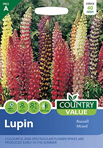 Country Value LUPIN Russell Mixed Seeds