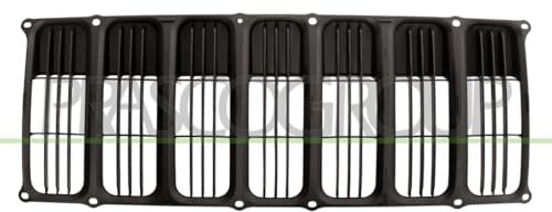 PRASCO JE0302001 Griglia radiatore nero