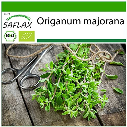 SAFLAX - Ecológico - Mejorana - 700 semillas - Con sustrato estéril para cultivo - Origanum majorana