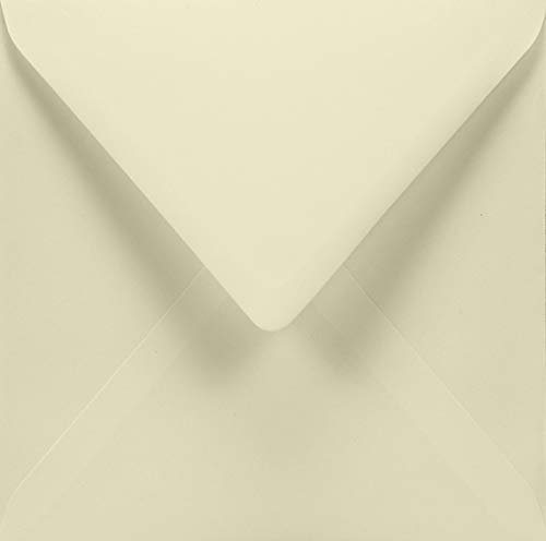 Netuno 25 quadratische Briefhüllen Elfenbein 155 x 155 mm 120g Aster Smooth Ivory elegante Einladungs-Umschläge Ecru quadratisch Briefumschläge für Hochzeit Geburtstag Taufe Weihnachten Jubiläum