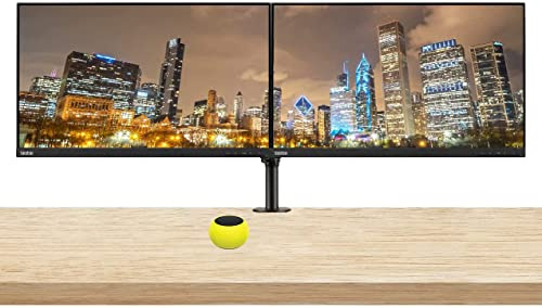 Lenovo ThinkVision S24e-20 23.8 Full HD 1920 x 1080 WLED LCD Monitor 2-Pack Bundle with Mini Glow in The Dark Speaker, 250 Nit, FreeSync, HDMI-VGA, Raven Black, & Adjustable Desk Mount Monitor Stand