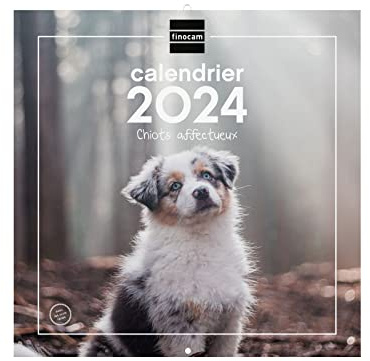 Finocam Kalender für Wandbilder, 30 x 30 cm, für Notizen 2024 Januar 2024 – Dezember 2024 (12 Monate), französische Welpen