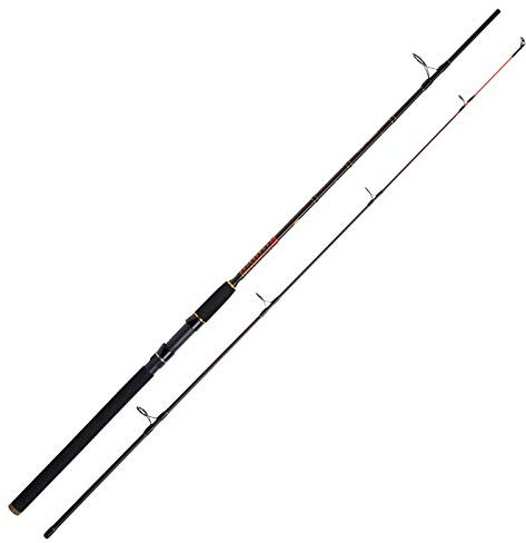 WFT Royal NC Jig & Pilk 40-160g 2,70m