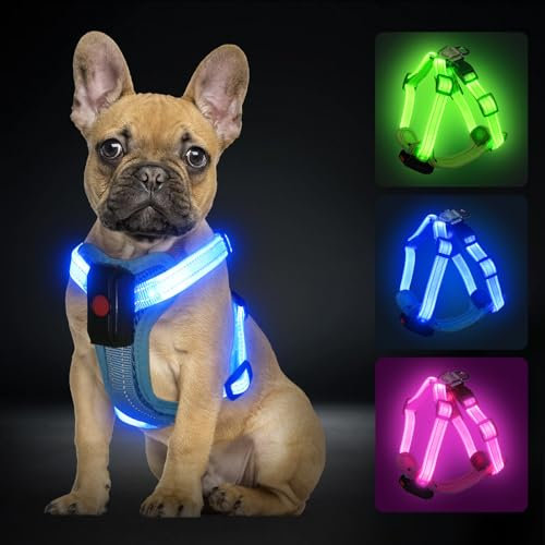 PZRLit Hundegeschirr Leuchtend Aufladbar für kleine Hunde, Leuchtgeschirr für XS Hunde, Reflektierend LED Geschirr für Welpen für sicheres Gehen in der Nacht-Blau