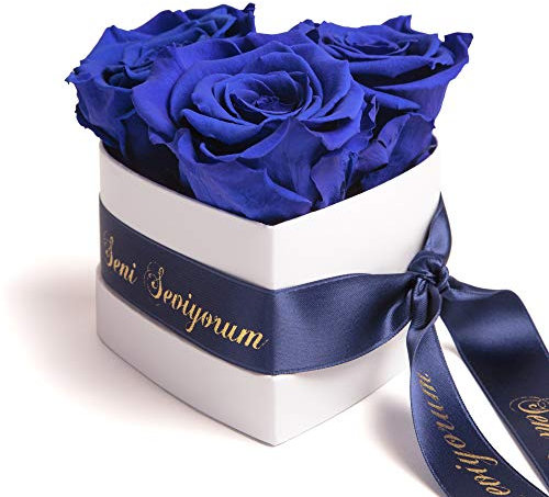 ROSEMARIE SCHULZ Heidelberg Infinity Rosenbox Herz - 3 echte Blaue Rosen konserviert haltbar 3 Jahre 10x12cm - Seni Seviyorum hediye besondere Geschenke für Frauen Liebesbeweis (Seni Seviyorum, Blau)