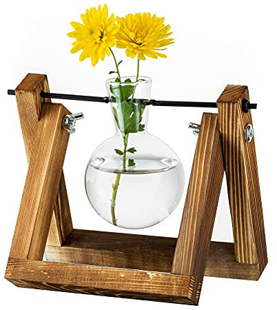 Stazione Di Propagazione Per Piante Upgrade Bulb Vase Planter Con Supporto In Legno Vaso Per Piante In Vetro Indoor Per Table Centrotavola Decorazione Vintage Home Office Accessori, 1 Lampadina