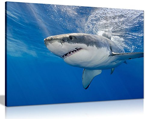 Shark Underwater Blue Canvas Wall Art Picture Print (18x12)