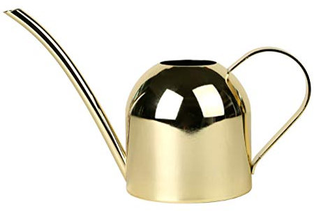 Yardwe Edelstahl Gießkanne für Pflanzen Indoor Haus Langen Auslauf Gartenbewässerungstopf Garten gießkanne für zimmerpflanzen 500ml (Golden)