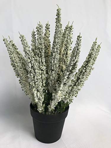 A&M Kunstblume getopfte Erika Calluna im schwarzen Topf, künstliches Heidekraut, 27 cm, 19 Blütenstiele, Herbstblume, Kunstpflanze (Creme)