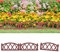 Chusui Bordures de jardin 17 unités, bordures de jardin extérieur, bordure de jardin, bordure de pelouse, clôtures de séparation de jardin, PP rouge, 10 m