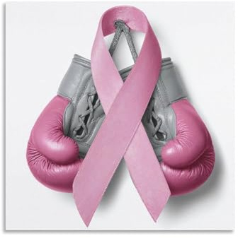 Jubonexis Rosa Krebs-Bewusstseinsband, Boxhandschuhe, Leinwand, Wandkunst, Poster, Gemälde, ästhetisches Bild für Wohnzimmer, Bauernhaus-Dekoration, 40 x 40 cm, ungerahmt