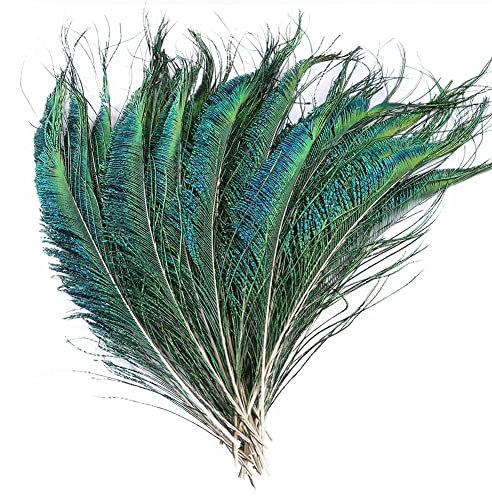 ISAKEN Natürlicher Pfauenfedern, 100 Stück Federschmuck Bunte Federn Zum Basteln 30-35cm Lang Federn Natur Schöne Pfau Federn Zum Basteln für DIY Federn, Kostüme, Hüte, Basteln, Zuhause Dekor