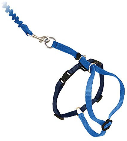PetSafe Easy Walk Katzengeschirr, Mit elastischer Bungee-Leine, Für Spaziergänge mit Ihrer Katze, Größe L, Blau, CWMK-L-RYL-19