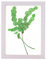 Rahmendesign24 Bilderrahmen Doppelglasrahmen Milano 40x50 Weiß (matt) Fotorahmen, Wechselrahmen, Doppelglas