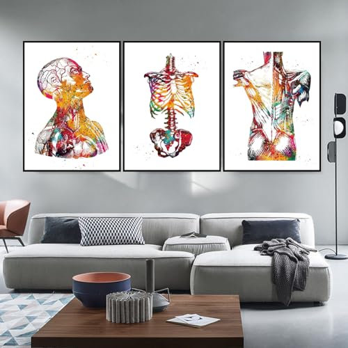 Abstrakt Medizin Anatomie Leinwandbilder Poster, Aquarell Blumen Menschliches Muskelsystem Poster Set Kunst Medical Office, Kein Rahmen(Blumen Skelett,3x60x90cm)