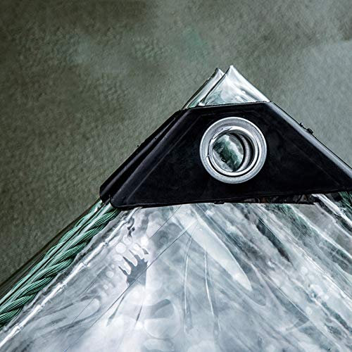 WYFZT Gartenplanenblatt, Gartenmöbelabdeckung Verstärktes klares wasserdichtes Hochleistungs-PE-Kunststoffzelt Plane Außenfenster Balkon Pflanzenschutz, mit Ösen (Size : 4×4m)