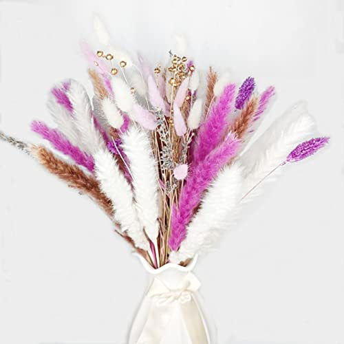 YiYFiT Pampasgras getrocknete Blumen, 63pcs 8 Verschiedene lila getrocknete Pampasgras Dekor 17 Pompöse Gras Hasenschwänze Edelstein Gras Lavendel Bouquet für Home Decor Party Hochzeit