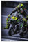 VZRSQZK Motorrad-Renn-Poster, dekoratives Gemälde, Leinwand-Wandposter und Kunstdruck, modernes Familienschlafzimmer-Dekor-Poster, 20 x 30 cm