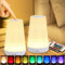 Taipow LED Nachttischlampe Touch Dimmbar mit Fernbedienung, Rgb Farbwechsel Nachtlicht Kinder mit 13 Farben, kabellose Lampe Batteriebetrieben für Schlafzimmer Kinderzimmer Room - 2 Stück