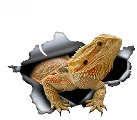 Bärtiger Drache Auto Aufkleber zerrissen Metall Aufkleber Reflektierende Aufkleber Wasserdichte Tierauto Styling Haustier Decals13cm x 8.7cm(23CM)