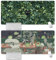 Epunk Large 80 x 30cm Gaming Mouse Pad, Non-Slip Rubber Desk Mat, Keyboard Pad for Office & Home, Green