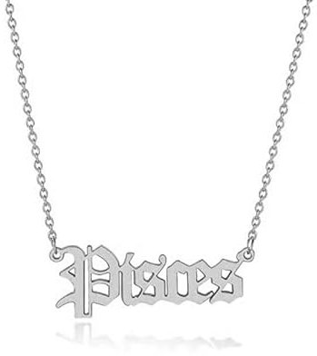 South Coast Jewellery Pisces Zodiac Horoscope Birth Star Sign Necklace Silver Stainless Steel