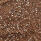 Premium Terrarium Potting Mix with Perlite & Activated Biochar – Nutrient-Rich Soil for Succulents, Moss, Air Plants & Tropicals – Superior Drainage, Root Health (1L)