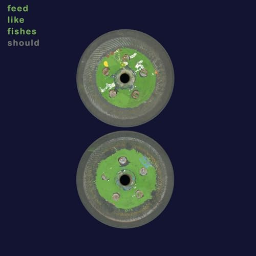 Feed Like Fishes (Spring