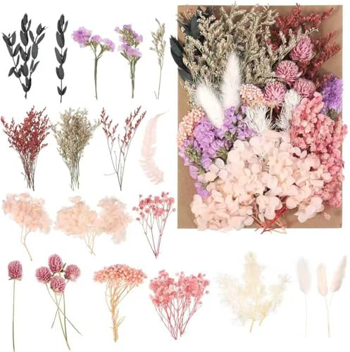 Natürliche Getrocknete Blumen,Blumen Natürliche Gemischte,DIY Natürliche Getrocknet Blumen Set für Kunst Basteln DIY Harz Scrapbooking Handwerk Karten Machen (Pink)