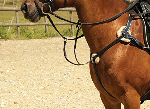 Windsor Equestrian Horses Leather 5 Point Breastplate Black Full
