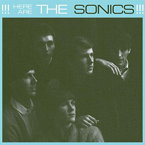 Here Are the Sonics [Vinyl LP]