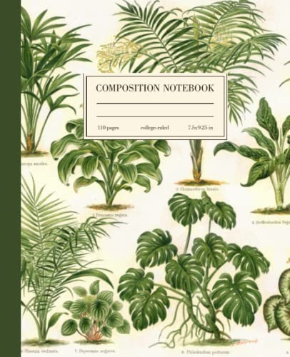 Composition Notebook College Ruled: Monstera Succulent Palm Tree Botanical Illustration | Cute Plant Lover Aesthetic Journal For School, College, Office, Work | Wide Lined