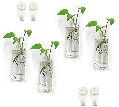 Bunhut Macetas de pared para plantas de interior, macetas de terrario colgantes de pared, macetas de pared de vidrio para arreglos florales, soporte para plantas colgantes, jarrón de pared, macetas