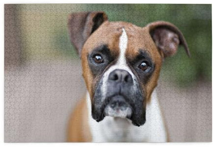 Boxer Dog, Jigsaw Puzzles 1000 Pieces Wooden Jigsaw Toy Family Game Wall Decor for Adults Teens