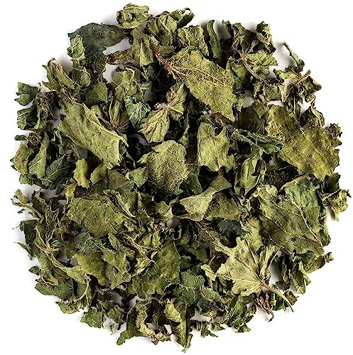 Foglie Di Ortica Tisana Biologica - Massima Qualità - Urtica Dioica Tisane Bio - Infusione 100g
