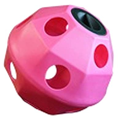 ProStable Hayball Large Holes Stable Toy One Size Pink
