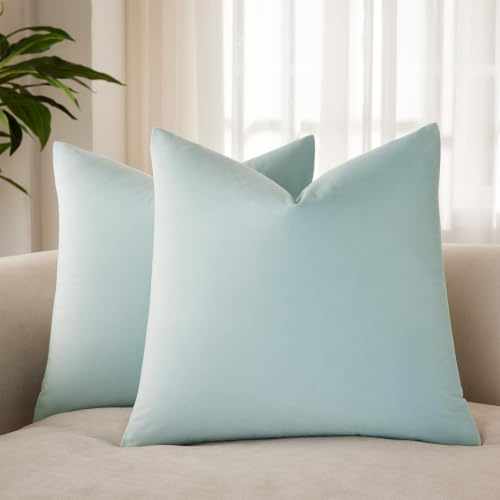 JUSPURBET Couch Pillow Covers Set of 2 Decorative Velvet Throw Pillow Covers Cases for Living Room Bedroom Home Decor Soft Cushion Covers Cases with Hidden Zipper for Sofa Bed 16x16 inch,Powder Blue