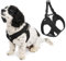 Gooby Escape Free Easy Fit Hundegeschirr, kein Ziehen, patentiertes kleines Hundegeschirr mit Schnellverschluss-Schnalle, perfekt für unterwegs, kein Ziehen, für kleine Hunde oder mittelgroße Hunde,