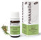 PRANARÔM - Olio Essenziale di Cipresso della Provenza Bio - Cipresso Sempreverde - Tonico & Proprietà Circolatorie - Ramo - 5 ml