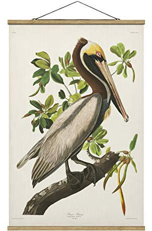 Stoffbild mit Posterleisten - Vintage Lehrtafel Brauner Pelikan 150cm x 100cm Eiche