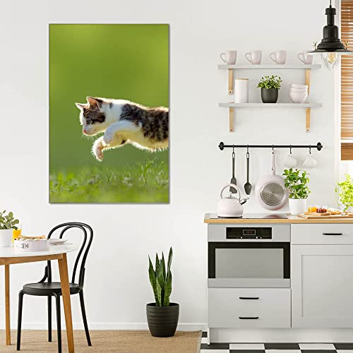 banjado® Glas Bild 80x120cm mit Motiv Jagende Katze als Wandbild für Wohnzimmer/Küche/Büro - Wohnzimmer Bild aus ESG Sicherheitsglas kratzfest mit geschliffenen Kanten - Glasbild groß als Wand Bild