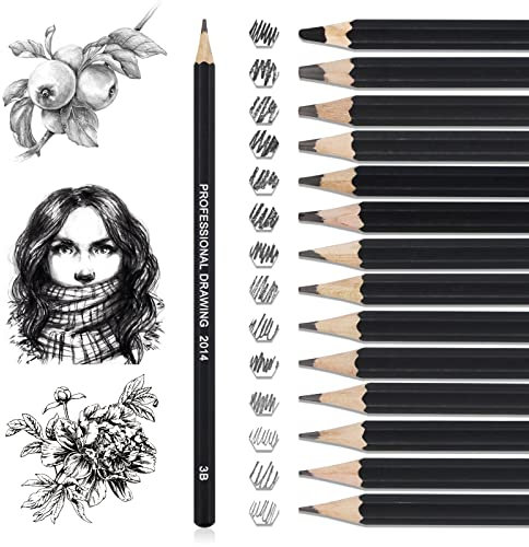 LAMXD Bleistift Set 14 Stück Professionelle Schreiben Bleistifte 12B, 10B, 8B, 7B, 6B, 5B, 4B, 3B, 2B, B, HB, 2H, 4H, 6H