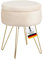 Albatros Hocker mit Stauraum Cannes – Sitzhocker mit Stauraum, Modernes Design, Edler Samt-Bezug – Sitztruhe oder Sitzbank mit Stauraum – optimal als Fußhocker oder Hocker Schminktisch, Beige