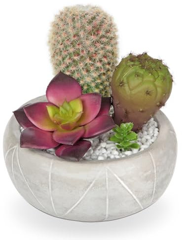 Planta artificial de cactus en maceta, suculentas artificiales, mini suculentas decorativas de imitación en maceta para decoración de hogar, oficina, habitación, cuarto de baño/decoración del hogar,