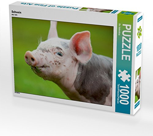 CALVENDO Puzzle Schwein | 1000 Teile Lege-Größe 64 x 48 cm Foto-Puzzle für glückliche Stunden