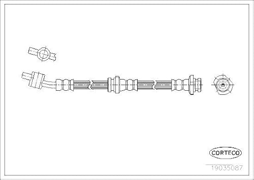 Corteco 19035087 Bremsschlauch vorne rechts | 19035087 Kompatibel mit Almera II (N16),Almera II Hatchback (N16),Primera (P10)